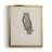 " Scops- Eared Owl " Painting Print