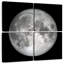 Oberle la lune dans le noir-109037580