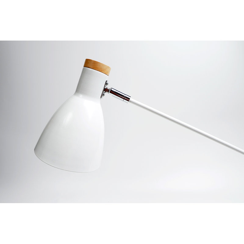 Yuraima 55'' Task Floor Lamp, White