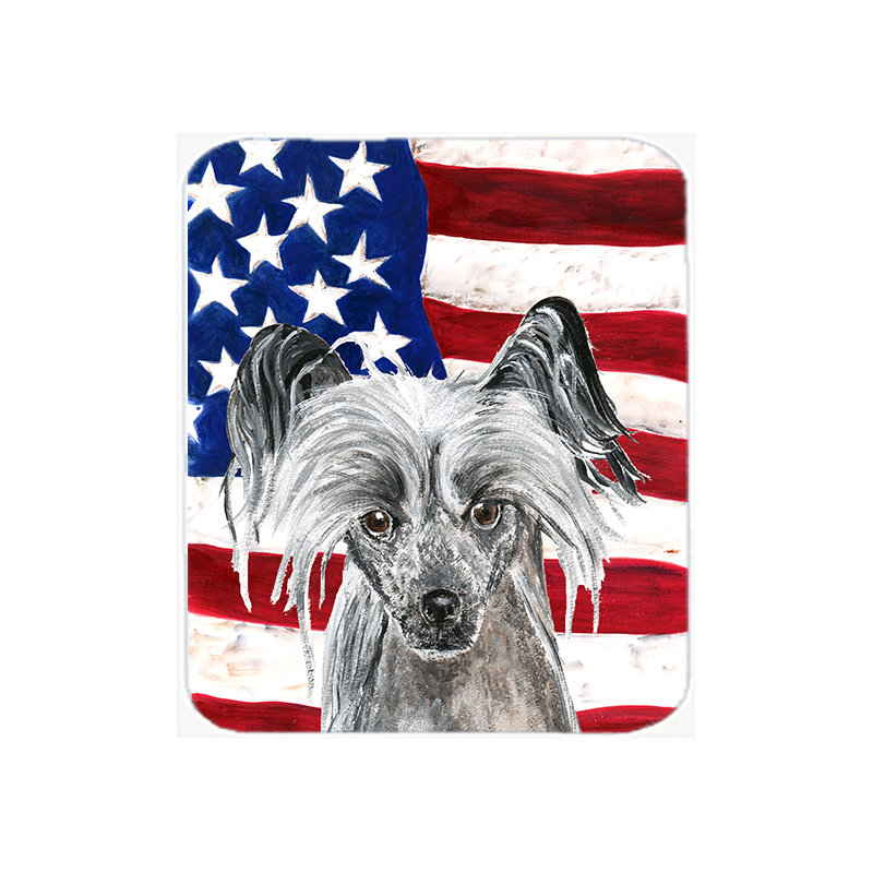 Planche à découper en verre American Flag
