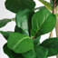Figuier artificiel 7 pi 7 pi, fausse plante réaliste en pot noir, 1pc / ensemble