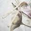 Housse de couette en coton double / grand, thème, imprimé floral rosé, 1 et 2 taies décoratives, fermeture à boutons, attaches de coin, avec attaches pour garder l'insertion stable,-118642793-118642789