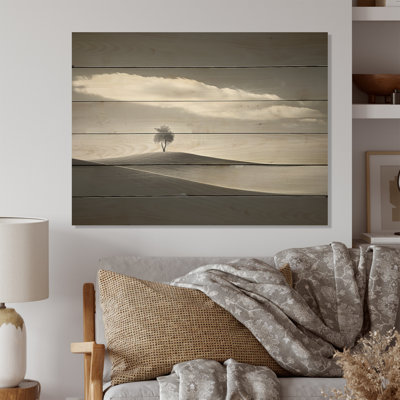 Solitude Tree Black And White Meadow Photography - Meadow Wood Panel Wall Art On Natural Pine Wood