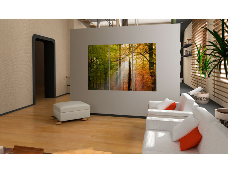 A Calm Autumn Forest - Photographic Print on Canvas, 80cm H x 120cm W
