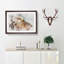 Portrait Of A Red Kite Bird Watercolour - Single Picture Frame Print on MDF-56741033-56741034