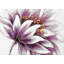 Fleur mauve - impression florale romantique encadrée pour la décoration intérieure