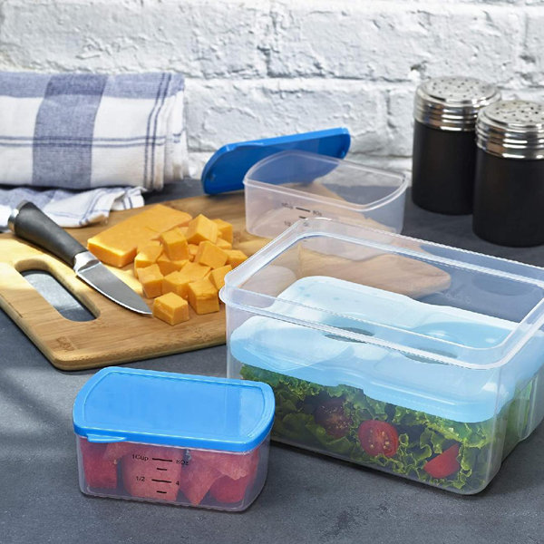https://assets.wfcdn.com/im/37162742/resize-h600-w600%5Ecompr-r85/2131/213180541/3+Reusable+Portion+Control+Containers%2C+BPA-Free%2C+Microwave%2FDishwasher+Safe+Lunch+Box%2CBlue.jpg