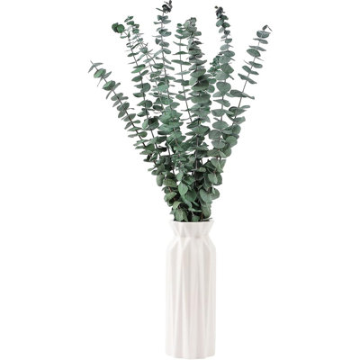 10 tiges d'eucalyptus séchées 17 "en véritable eucalyptus pour suspendre la douche à 100% à partir de feuilles fraîches, de mariage, de maison, de maison de campagne, de décoration de printemps