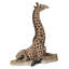 Bébé girafe allongée