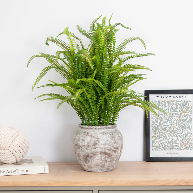 62cm Faux Fern Plant in Composite Planter