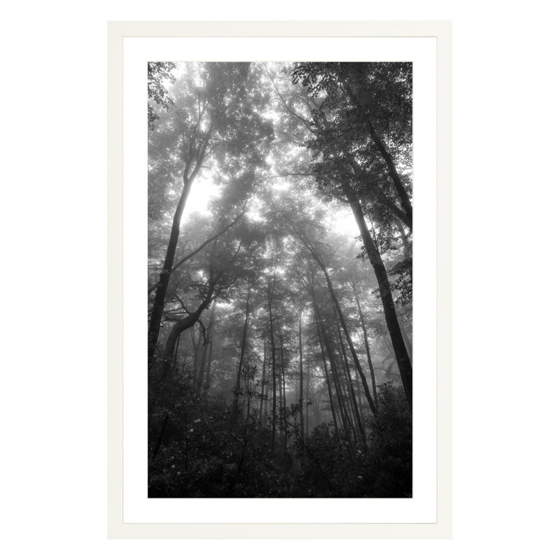 Landscape & Nature Print, White, 36" H x 24" W x 1.88" D