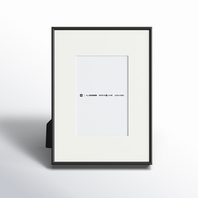 Feronia Metal Picture Frame with Mat