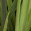 29,1 "plante serpent artificielle en pot