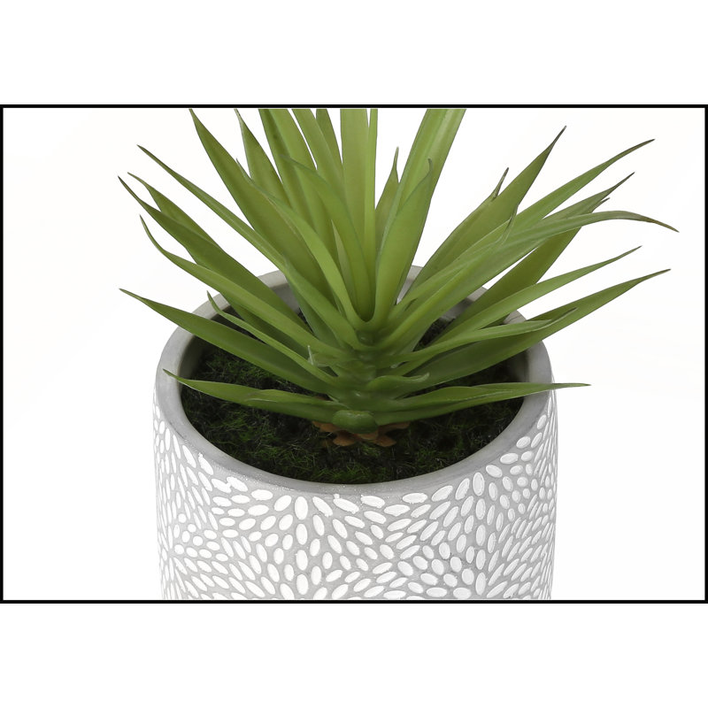 Ensemble de 2 plantes succulentes artificielles, 23 cm de hauteur, pots en ciment blanc, décoration moderne et contemporaine