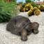 Aerick Weather Resistant Garden Statue