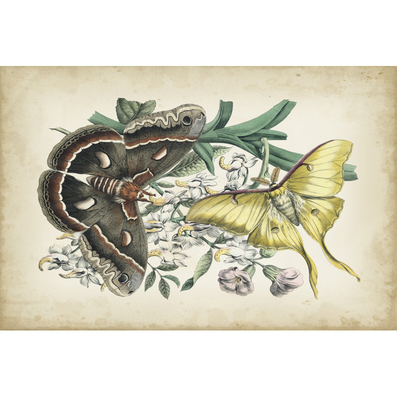 Fanciful Flight I by John Wiek - Wrapped Canvas Painting, 46cm H x 30cm W