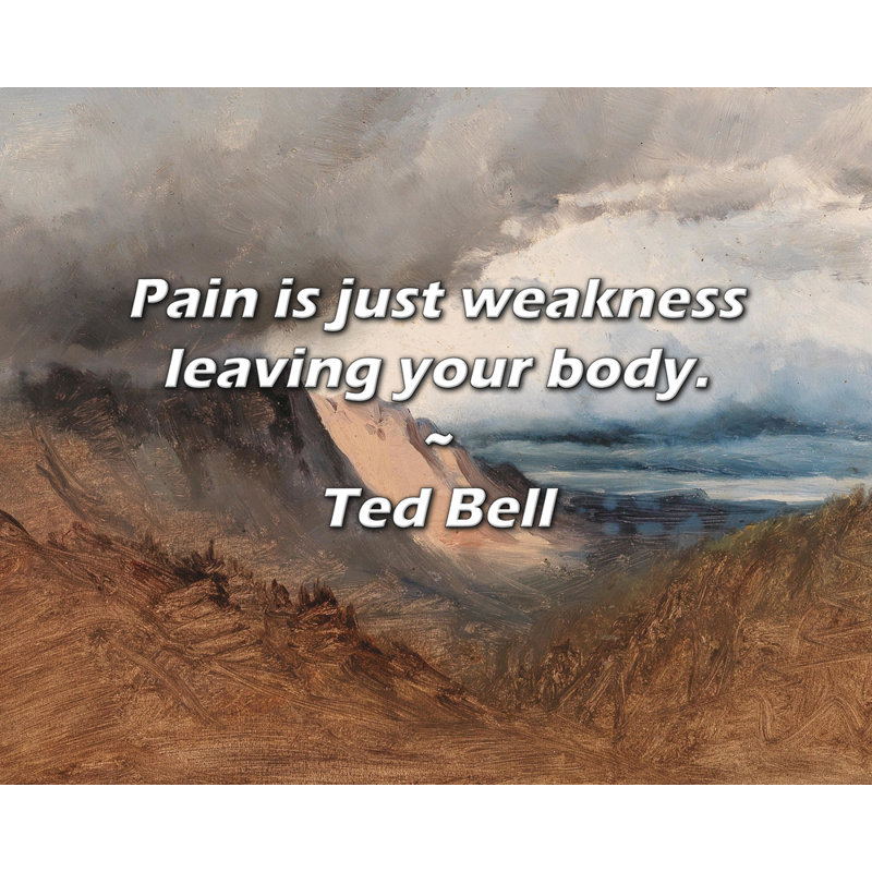 Citation de Ted Bell: La douleur n'est que la fragilité qui quitte votre corps.