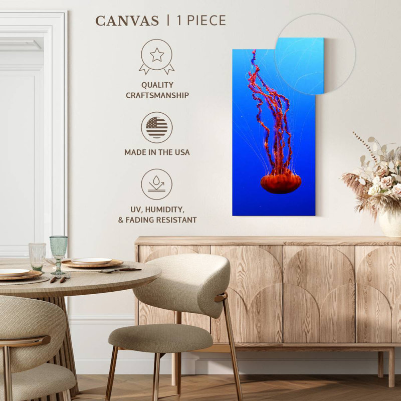 Sea Nettle Jellyfish, H 36 po x l 18 po