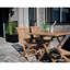 Nugent Solid Wood Dining Chair