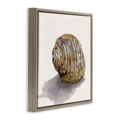  "Coquillage courbé sur toile flottante encadrée" par Jacob Q