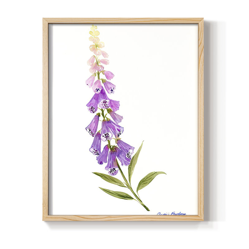 Reproduction encadrée Annie's Foxglove II - bois massif, H 15 po x l 12 po