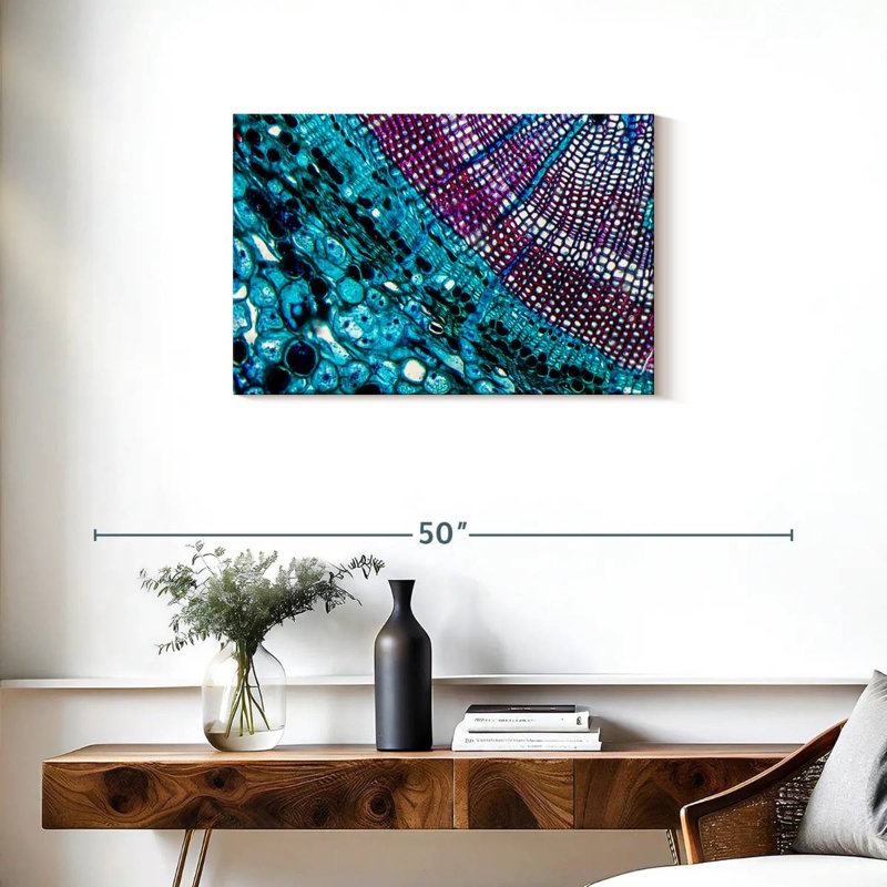 Keiri Pine Stem Under Microscope, 20" H x 30" W