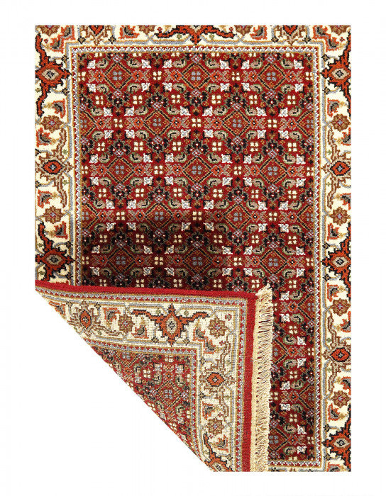 Dwania Hand Knotted Area Rug in Red