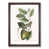 Walnut Framed selected