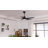 54 In 5 Solid Wood Blades Indoor Ceiling Fan With Integrated Led And Remote DC Motor, Black and Walnut-376093751-398105900