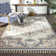 Oriental Indoor Rug