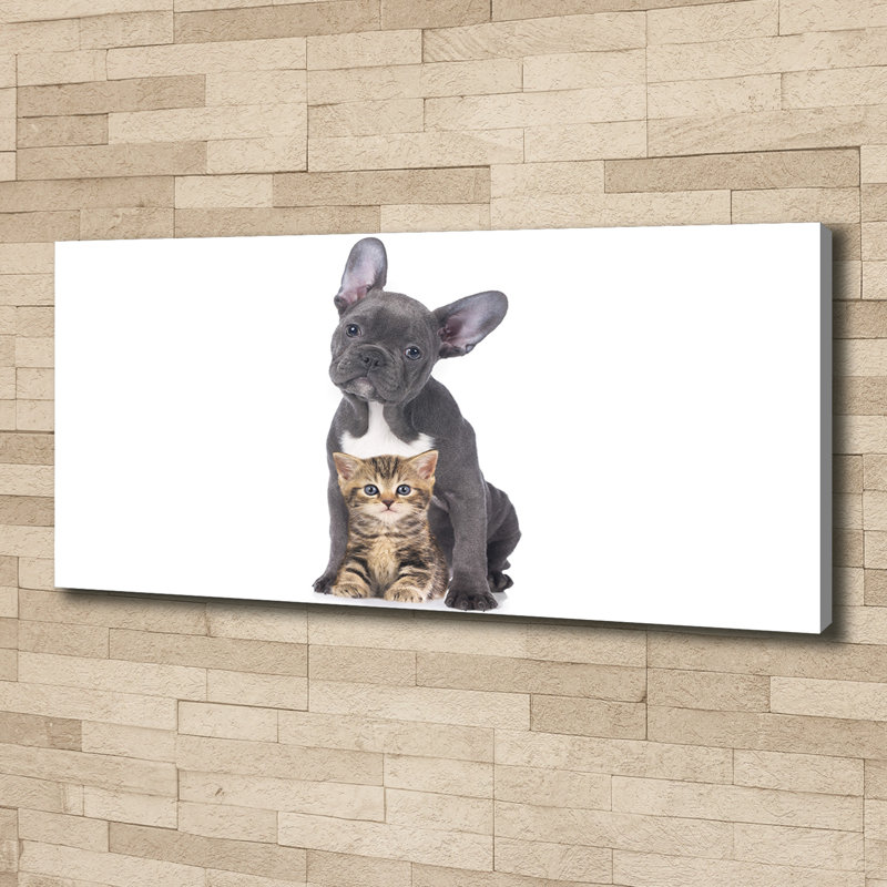 Dog And Cat - Wrapped Canvas Print