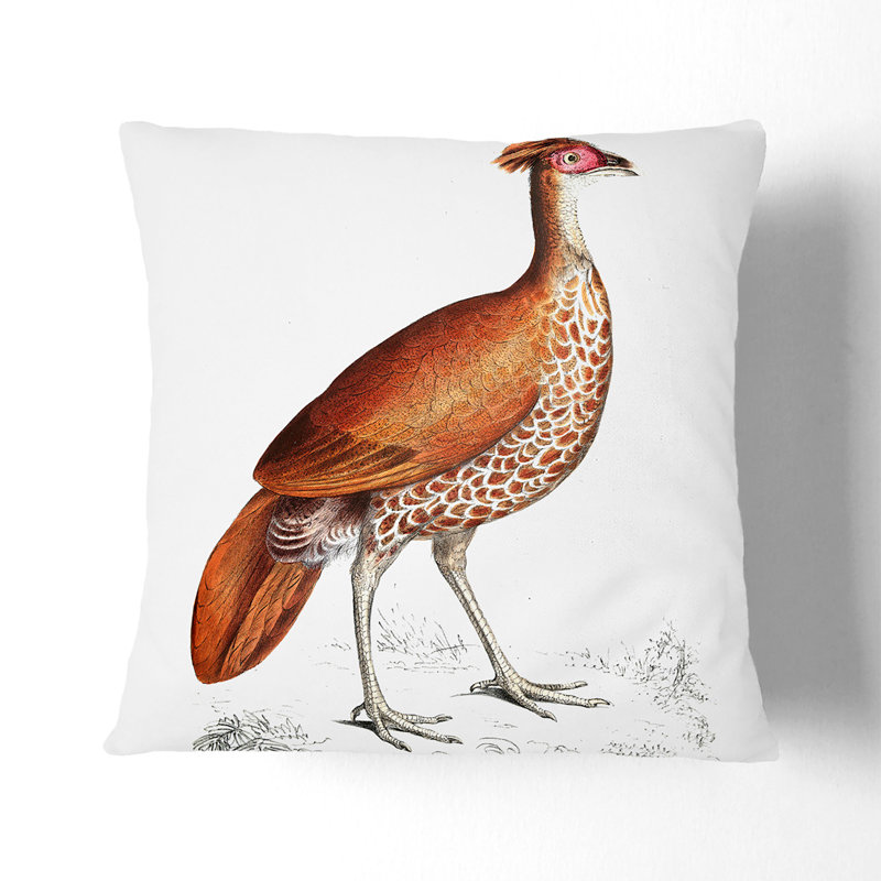 Pheasant Hen Illustration by John Edward Gray Cushion with Filling, 40cm H x 40cm W x 15cm D