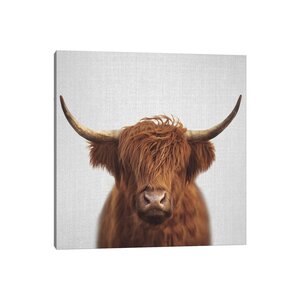 Bless international Highland Cow On Canvas by Gal Print & Reviews | Wayfair