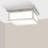 Lizard Glass Flush Mount-520172881