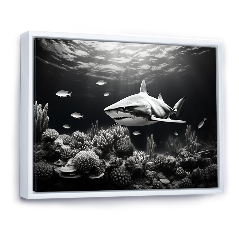 Requin noir et blanc glissant sur toile, H 16 po x l 32 po x P 1 po, Cadre flottant blanc