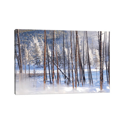 Steamy View by Brian Wolf - Wrapped Canvas Print