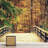 Forest Nature Landscape Peel & Stick Clear Border-88769980
