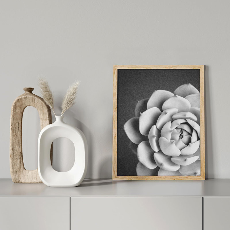 "Succulent cactus noir et blanc en fleurs" sur papier, H 10 po x l 8 po, Naturel