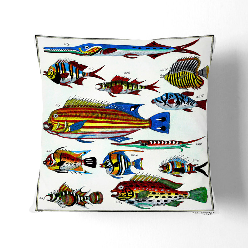 Exotic Fish Illustration Cushion with Filling, Black, 45cm H x 45cm W x 15cm D