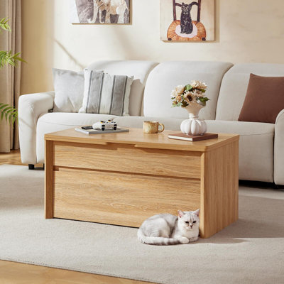 Table basse à plateau relevable avec rangement, tables basses 4 en 1 avec rangement caché et tiroir, vérin à gaz, table de salle à manger convertible de 41,8 po pour le salon, les petits espaces, les appartements et les bureaux à domicile