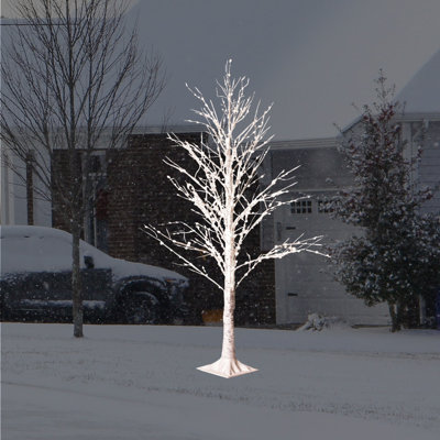 60'' LED Twinkle Lighted Trees & Branches