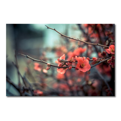 1 Piece Wrapped Canvas Wall Art