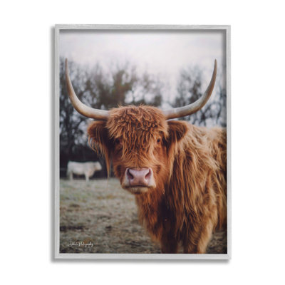 Highland, bovin, vache, chaud, ensoleillé, portrait, estampe numérique, ensemble d'art texturé par Dakota Diener
