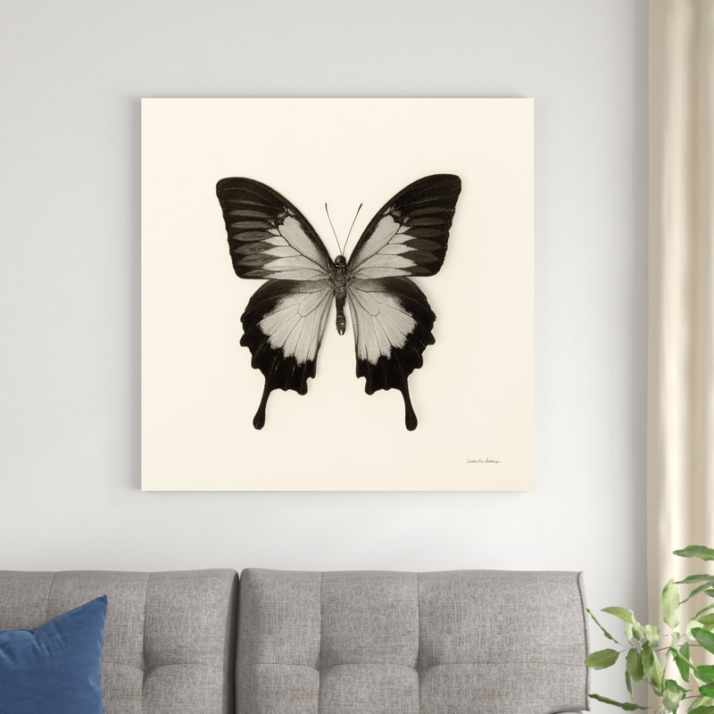 Papillon III BW, H 36 po x l 36 po x P 1,25 po