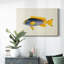 Toile tendue avec collection de poissons tropicaux-1351900571