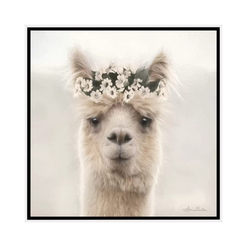 «Alpaca with Flowers» par Lori Deiter - impression d'art graphique, H 37 po x l 37 po x P 1,5 po, Toile blanche encadrée