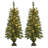 3.5' Lighted Pine Christmas Tree