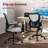 Oetjen Ergonomic Home Office Mesh Task Chair Desk Chair With Flip-up Armrest-1194238544