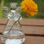 Porte-bouteilles en verre transparent-1663177507