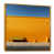 Gold Floater Framed